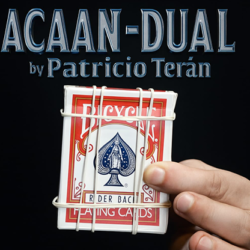 ACAAN dual by Patricio Tern video (Download)