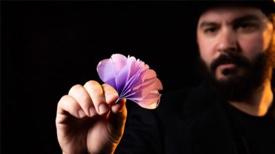 SPRING FLOWERS, 2 PK PAPER by Murphy's Magic - Image 3