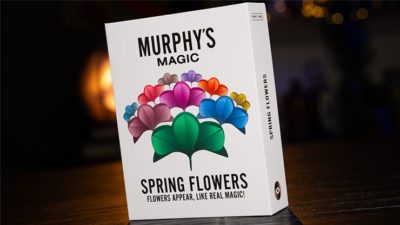 SPRING FLOWERS, 2 PK PAPER by Murphy's Magic - Image 6
