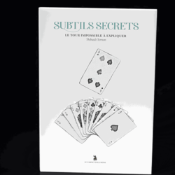 Subtle Secrets 2 by Thibault Ternon